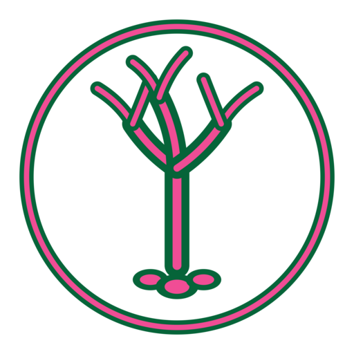Logo recodmain